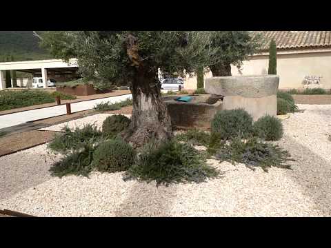 Episodio 1 | Ajardinamiento Finca en Yébenes | Toledo | Jardinable