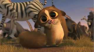 Madly Madagascar (2013) Video