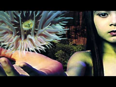 Video thumbnail for Dead Skin Cells