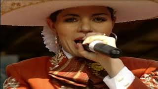 musical Quiero cantarle a mi tierra