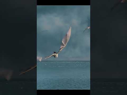 Meleys,Vermax & Arrax leaves from Dragonstone #shorts #youtube #houseofthedragon #got #dragons