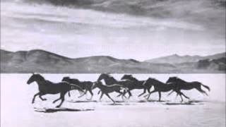 Eagles and Horses By John Denver with Lyrics