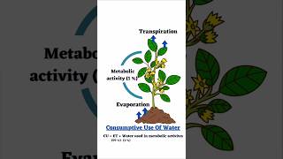 What is Consumptive Use Of Water ? #irrigation #agronomy #agriculture