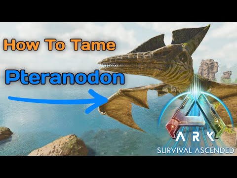 ARK ASCENDED How To Tame A Pteranodon