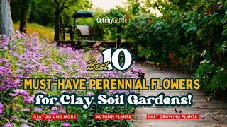 Clay Soil No More: 10 Must-Have Perennial Flowers for Clay Soil Gardens! 🌷🍂🌻