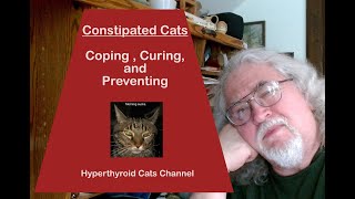 Cats and Constipation: Coping, Curing, and Preventing