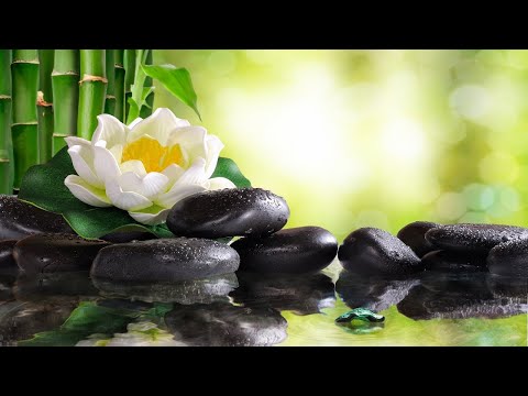 8 Hours of Soft Sleep Music • Relaxing Piano Music, Deep Sleeping Music, Meditation Music #102