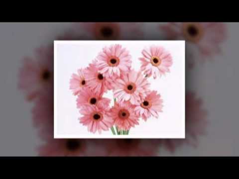 Ana Belén - Herido De Amor / SEVDA