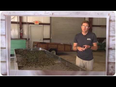 Yaupon Brothers Native American Tea