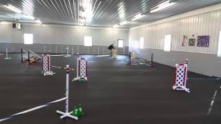 Cady Haven Rental Feb. 7, 2016