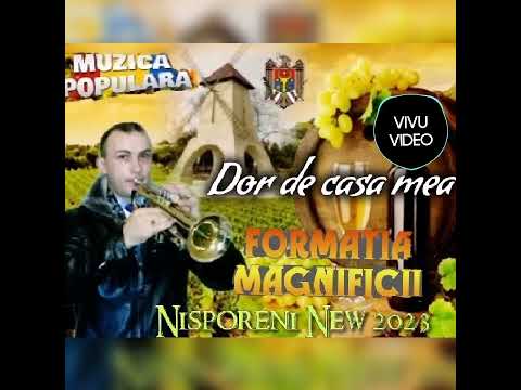 Formația Magnificii Nisporeni New 2023 - Trompeta Mie dor de casa mea.