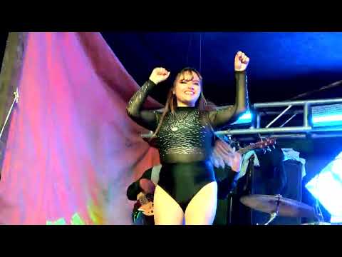 PROYECTO SHOW EN VIVO OMEREQUE   CUMBIAS MIX VOL 2