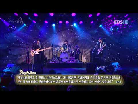 텔레플라이(Telefly)-Purple Haze (EBS 스페이스 공감)