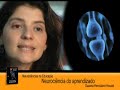 Learning & Memory | Neurociência do Aprendizado	