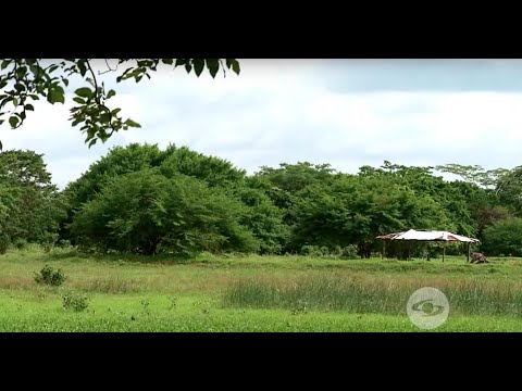 , title : 'Importancia de la responsabilidad ambiental en ganadería de clima cálido - La Finca de Hoy'