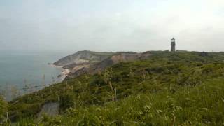 Forever Young - Reunited