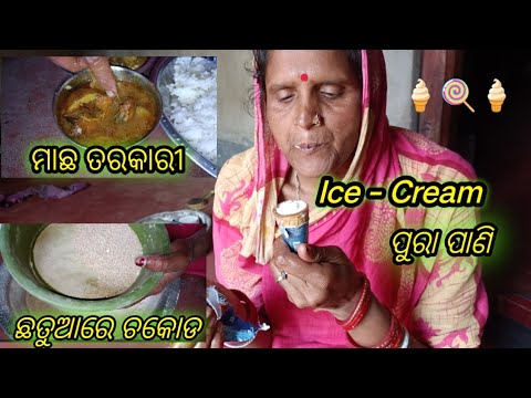 Ice - Cream ପୁରା ପାଣି ହେଇଯାଇଛି 😂 || @Manjulatavlog