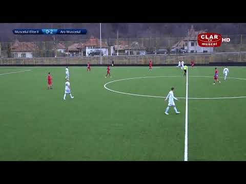 Muscelul Elite II - Aro Muscelul