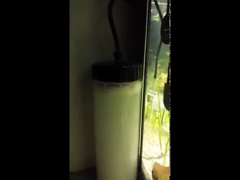 Bio CO2 Reaktor ( JBL ProFlora Bio 80) Anfahren zweiterTag