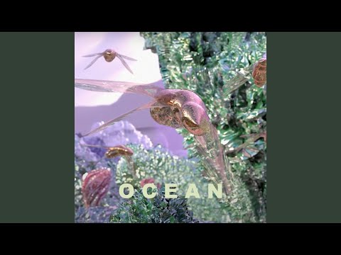 Ocean