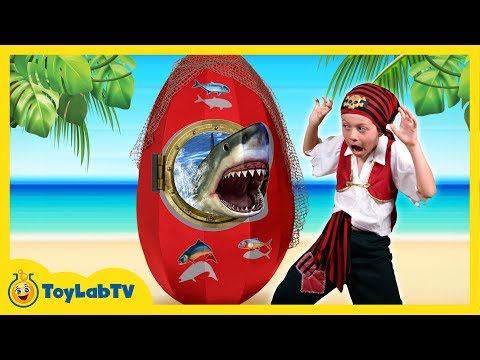 GIANT SHARK EGG SURPRISE OPENING with Shark Toys & Shark vs Pirate in Fun Kids Video ToyLabTV