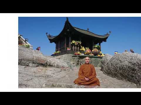 Giữa hai dòng sông - Thích Viên Giác TVGPhiLong