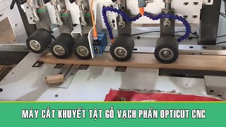 Máy cắt vạch  phấn Opticut  CNC WFS-100