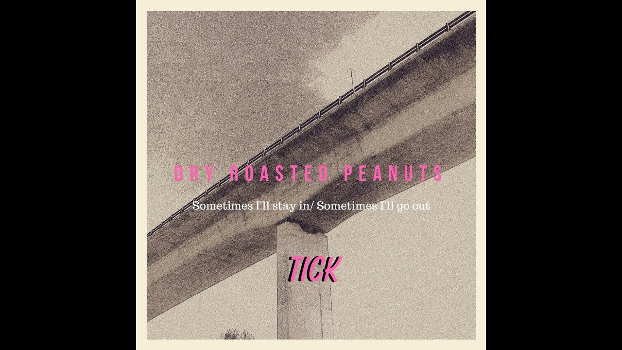 Dry Roasted Peanuts - Tick