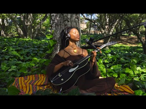 Meadow Spirit (1hr) - Healing Heart Frequency - Feel the Warmth of the Sun