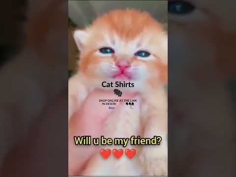 Cat Can Also Smile 🥰 #Shorts