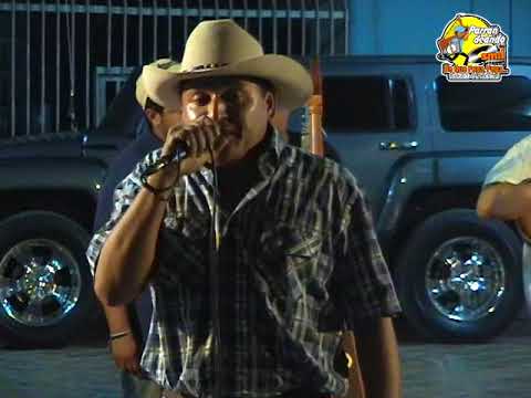 Jose Ali Rojas -  Cucarachero Araucano