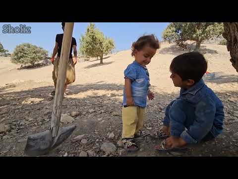 Nomadic Foundations: Crafting Habitats for Animal & Bird Breeding 🐄🦜