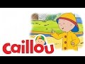 Caillou Caillou The Road Builder S04E03 Videos For Kids