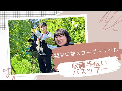 【観光学部】コープトラベル共同企画・収穫お手伝いツアー