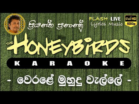 Werale Muhudu Walle Karaoke (Without Voice) වෙරළේ මුහුදු වැල්ලේ කැරෝකේ