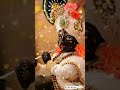 Radhe Krishna O Palna Hare 2022 New Video