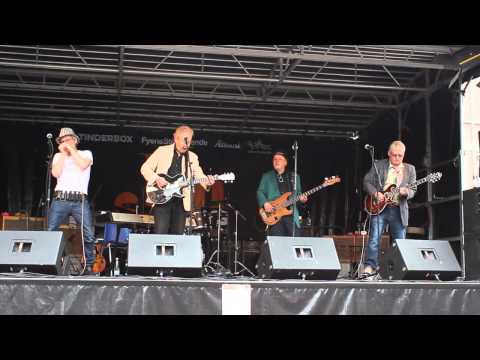 Delta Blues Band   Jam Days 2015