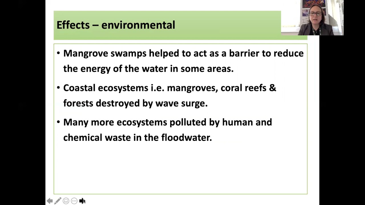 A level Boxing day tsunami