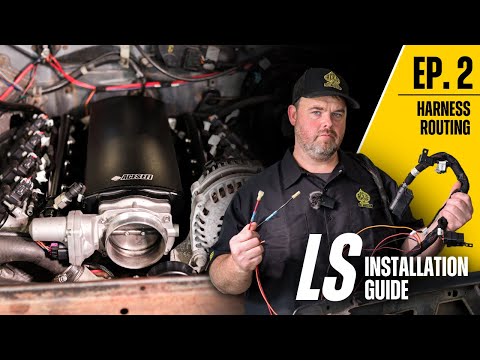 Harness Layout (Jackpot LS Installation Guide Ep.2)