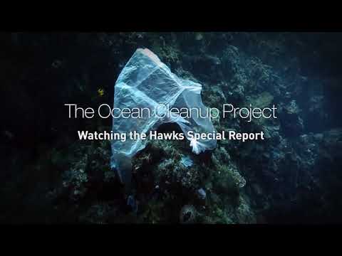 WATCHING THE HAWKS: OCEAN CLEAN UP PROMO
