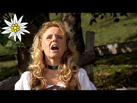 A tribute to nature and hunting