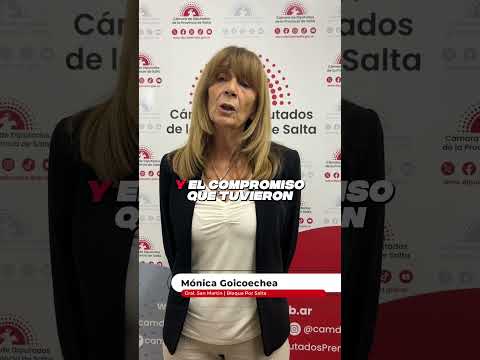 SE APROBÓ LA REFORMA DE LA CARTA MUNICIPAL DE EMBARCACIÓN