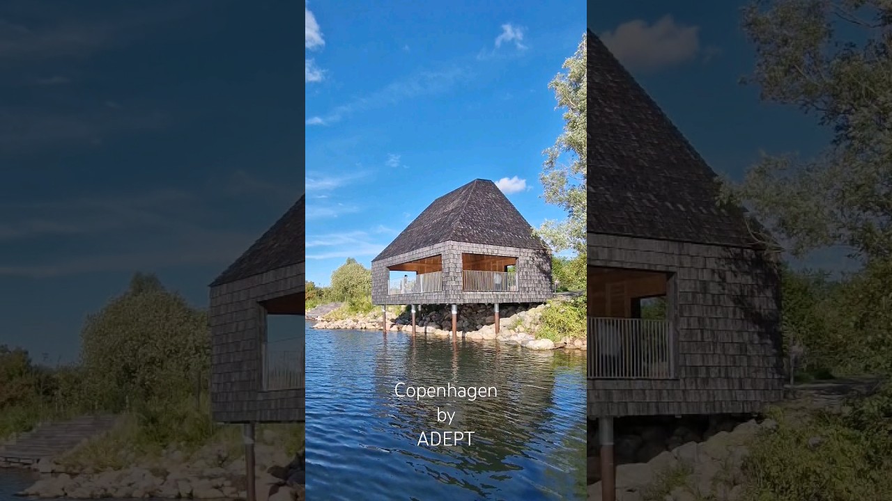 Copenhagen by Adept #shorts