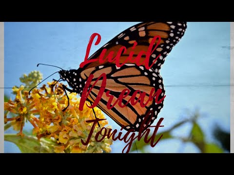 Lucid dream to shift subliminal + Remove any doubts | Rain + Bird sounds | ft Pobbs