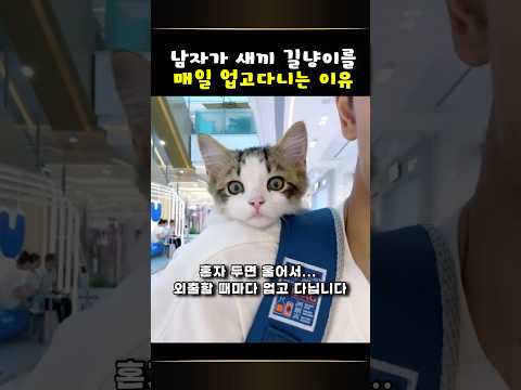 새끼 길냥이를 매일 업고다니는 이유가 너무 소중해!