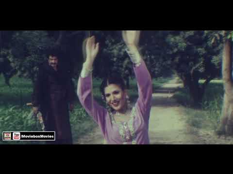 AINU ISHQ DI HATHKARI LAWAN - NASEEBO LAL - RESHAM - PAKISTANI FILM DOSA