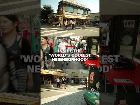 Inside the 'world's coolest neighborhood'