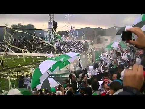 ♪♪ Verde Mi Buen Amigo ♪♪