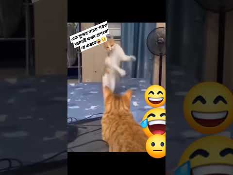 #youtubeshorts #viralreels #comedyfilms #funny