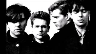 Echo &amp; The Bunnymen... Lost on You